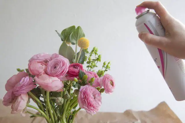 Does Hairspray Preserve Roses?