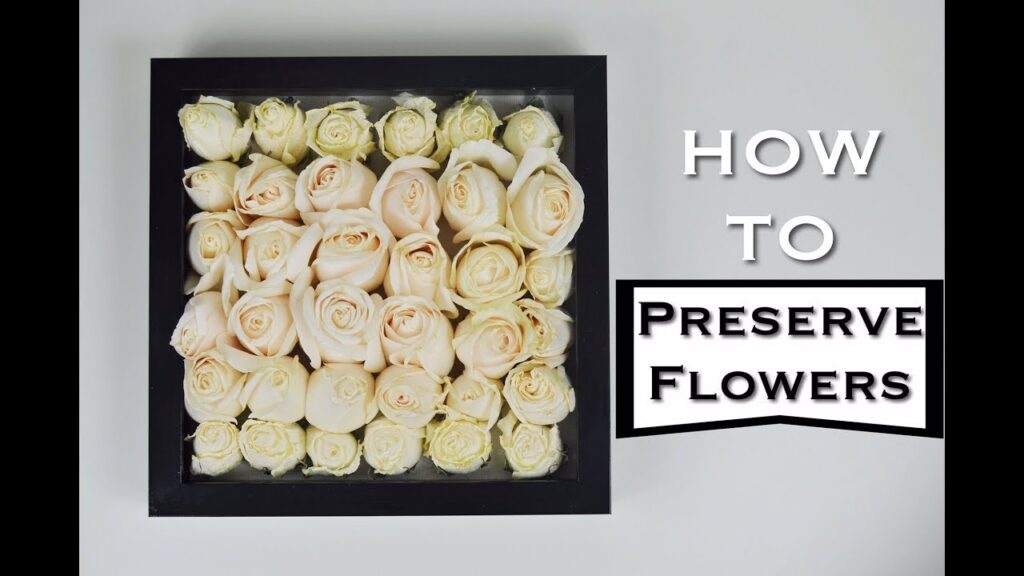 How Do Preserved Roses Work?