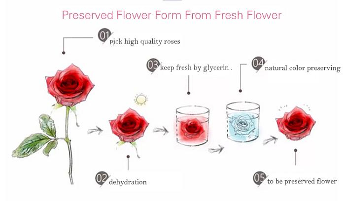 How Do Preserved Roses Work?
