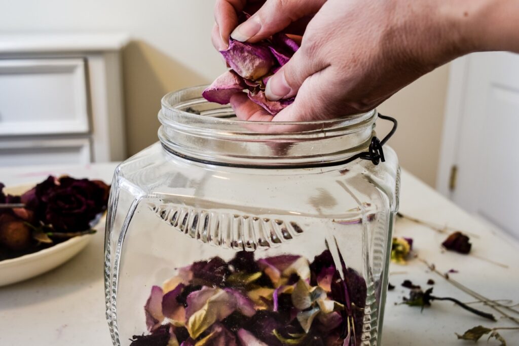 How To Preserve A Rose In A Jar?