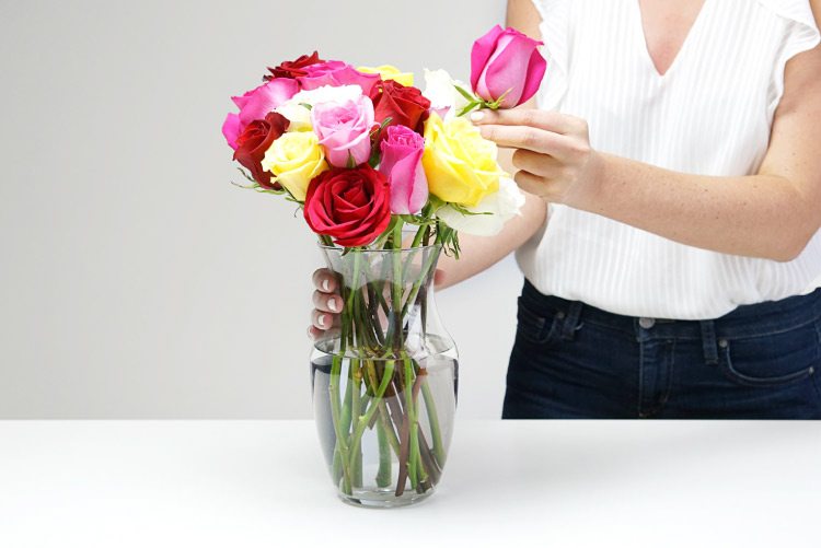 How To Preserve Cut Roses In A Vase?