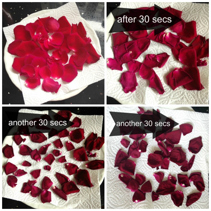 How To Preserve Rose Buds?