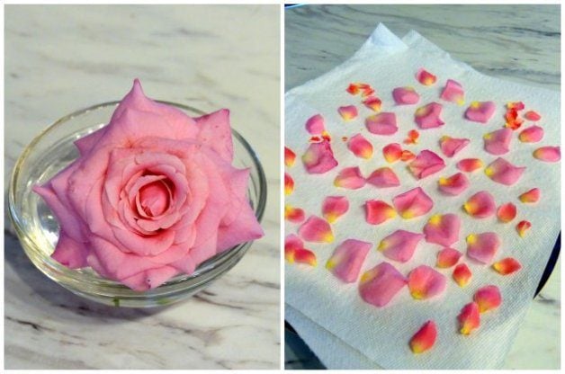 How To Preserve Rose Petals In A Jar?