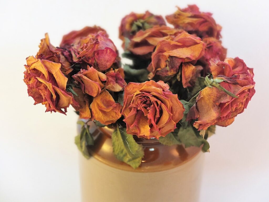How Do You Preserve Roses At Home?