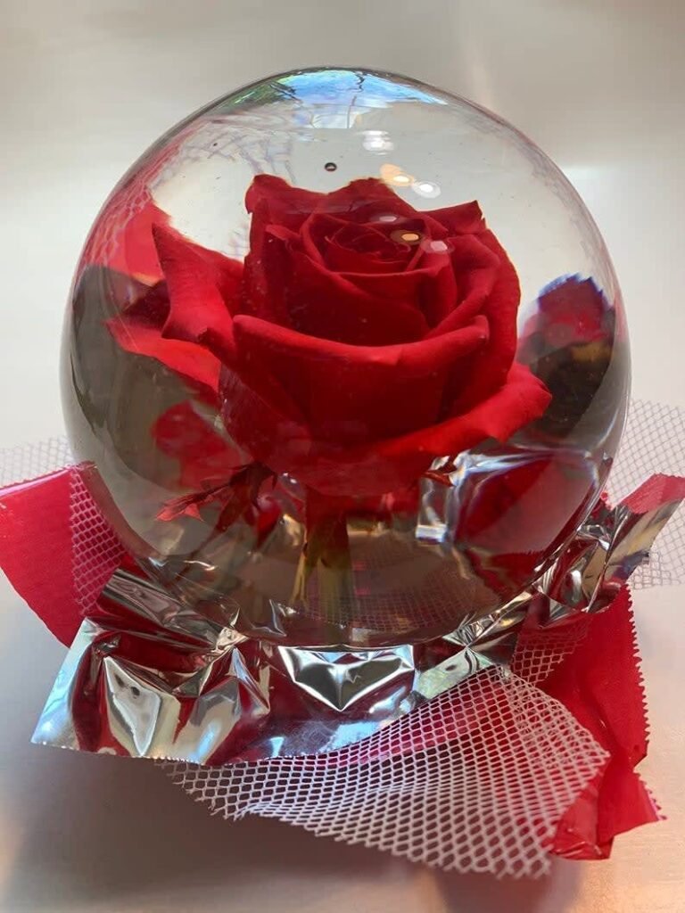 How To Preserve Rose In Water Globe?