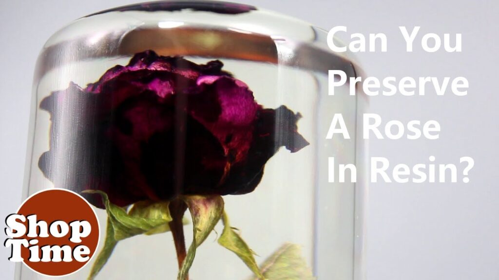 How To Preserve Roses In Epoxy Resin?