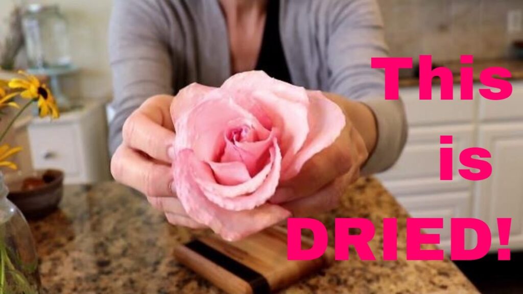 How To Preserve Roses With Glycerin Youtube?